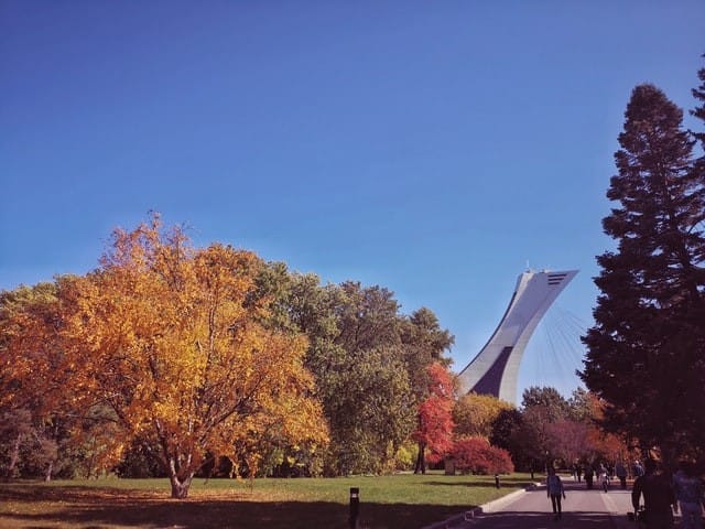 Parque en Montreal